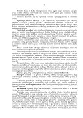 Įmonės kontrolės procesų valdymas 15 puslapis