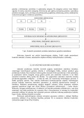 Įmonės kontrolės procesų valdymas 16 puslapis