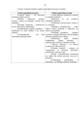 Įmonės kontrolės procesų valdymas 19 puslapis