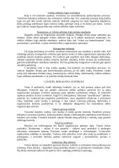 Įmonės kontrolės procesų valdymas 3 puslapis