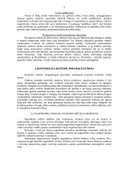 Įmonės kontrolės procesų valdymas 4 puslapis