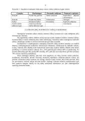 Įmonės kontrolės procesų valdymas 5 puslapis