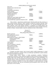 Įmonės kontrolės procesų valdymas 7 puslapis