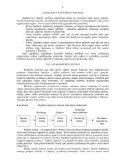 Įmonės kontrolės procesų valdymas 8 puslapis