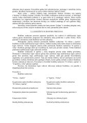 Įmonės kontrolės procesų valdymas 9 puslapis