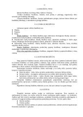 Įmonės kontrolės procesų valdymas 10 puslapis