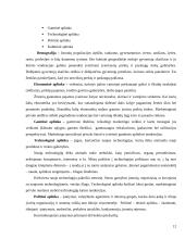 Įmonės marketingas 12 puslapis