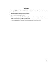 Įmonės marketingas 16 puslapis