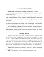 Įmonės marketingas 7 puslapis