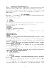 Įmonės marketingo aplinkos analizė: UAB "Omnitel" 4 puslapis