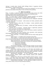 Įmonės marketingo aplinkos analizė: UAB "Omnitel" 5 puslapis