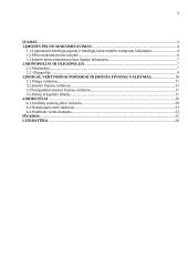 Įmonės pelno formavimosi ypatumai Lietuvoje 2 puslapis