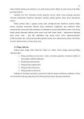 Įmonės pelno formavimosi ypatumai Lietuvoje 11 puslapis