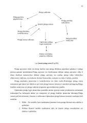 Įmonės pelno formavimosi ypatumai Lietuvoje 12 puslapis