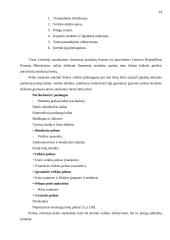 Įmonės pelno formavimosi ypatumai Lietuvoje 14 puslapis