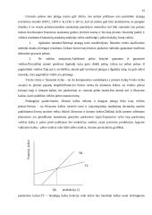 Įmonės pelno formavimosi ypatumai Lietuvoje 15 puslapis