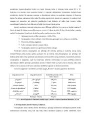 Įmonės pelno formavimosi ypatumai Lietuvoje 16 puslapis