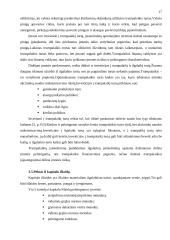 Įmonės pelno formavimosi ypatumai Lietuvoje 17 puslapis