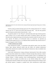 Įmonės pelno formavimosi ypatumai Lietuvoje 6 puslapis