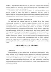 Įmonės pelno formavimosi ypatumai Lietuvoje 7 puslapis