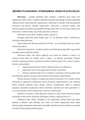 Įmonės planavimas. Atsiradimas. Raida ir evoliucija 2 puslapis