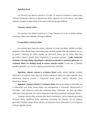 Įmonės planavimas. Atsiradimas. Raida ir evoliucija 4 puslapis