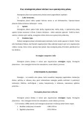 Įmonės planavimas. Atsiradimas. Raida ir evoliucija 6 puslapis