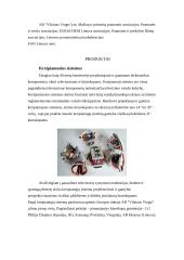 Įmonės produktų analizė: AB "Vilniaus Vingis" 3 puslapis
