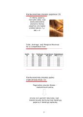 Įmonės pusiausvyra tobulos konkurencijos rinkoje 17 puslapis