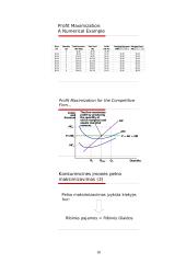Įmonės pusiausvyra tobulos konkurencijos rinkoje 18 puslapis