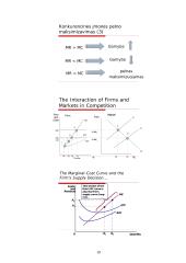 Įmonės pusiausvyra tobulos konkurencijos rinkoje 19 puslapis