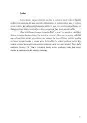 Įmonės rinkodaros kanalų analizė: UAB "Alantas" 2 puslapis