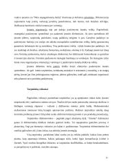 Įmonės rinkodaros kanalų analizė: UAB "Alantas" 11 puslapis