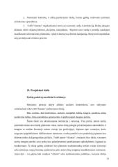 Įmonės rinkodaros kanalų analizė: UAB "Alantas" 13 puslapis