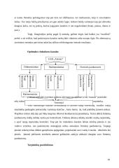 Įmonės rinkodaros kanalų analizė: UAB "Alantas" 18 puslapis