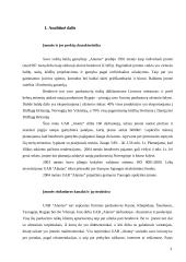 Įmonės rinkodaros kanalų analizė: UAB "Alantas" 3 puslapis