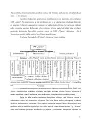 Įmonės rinkodaros kanalų analizė: UAB "Alantas" 5 puslapis