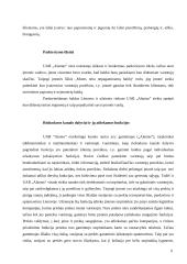 Įmonės rinkodaros kanalų analizė: UAB "Alantas" 6 puslapis