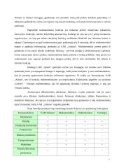 Įmonės rinkodaros kanalų analizė: UAB "Alantas" 7 puslapis