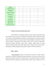 Įmonės rinkodaros kanalų analizė: UAB "Alantas" 8 puslapis