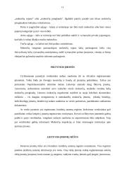 Įmonės sampratos raida 11 puslapis