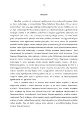 Įmonės sampratos raida 14 puslapis