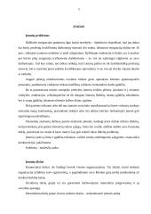 Įmonės sampratos raida 3 puslapis