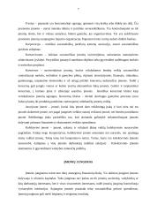 Įmonės sampratos raida 7 puslapis
