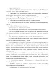 Įmonės sampratos raida 8 puslapis