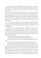 Įmonės sampratos raida 9 puslapis