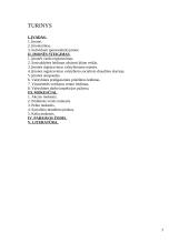 Įmonės steigimas 3 puslapis