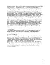 Įmonės steigimas 9 puslapis