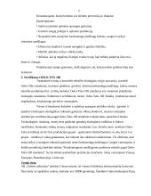 Įmonės strateginis planas: AB "Utenos trikotažas" 5 puslapis