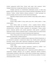 Įmonės strateginis valdymas 11 puslapis